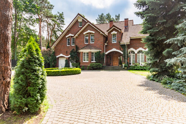 Best Driveway Paving Contractor  in Dalzell, SC